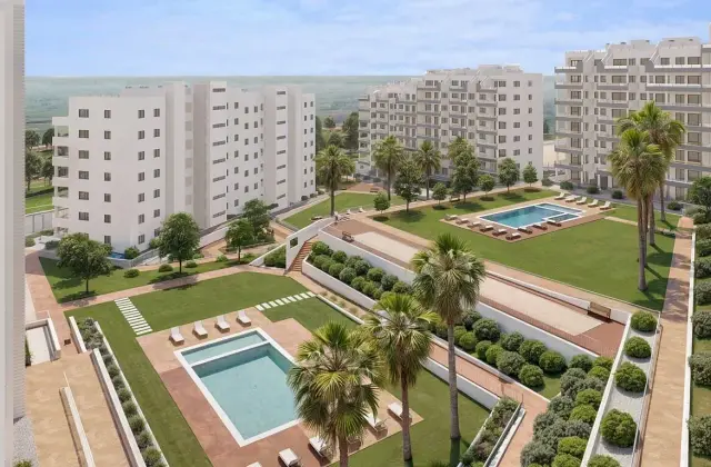 2 Bedroom Apartments San Miguel de Salinas Centro-10