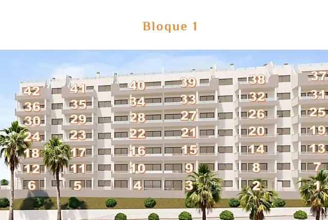 2 Bedroom Apartments San Miguel de Salinas Centro-12