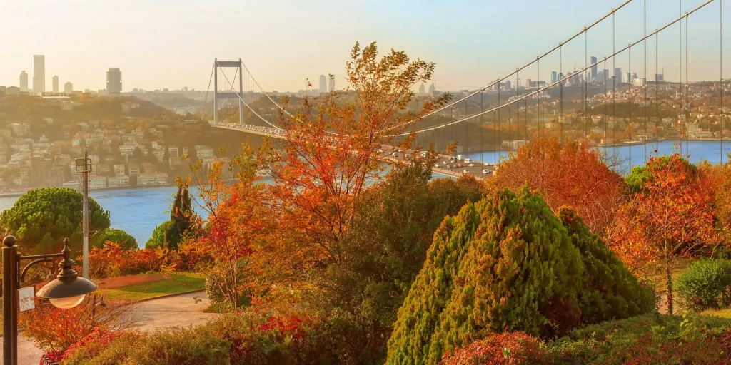 A beautiful autumn scene in Istanbul, with golden leaves covering the streets and historic architecture in the background.