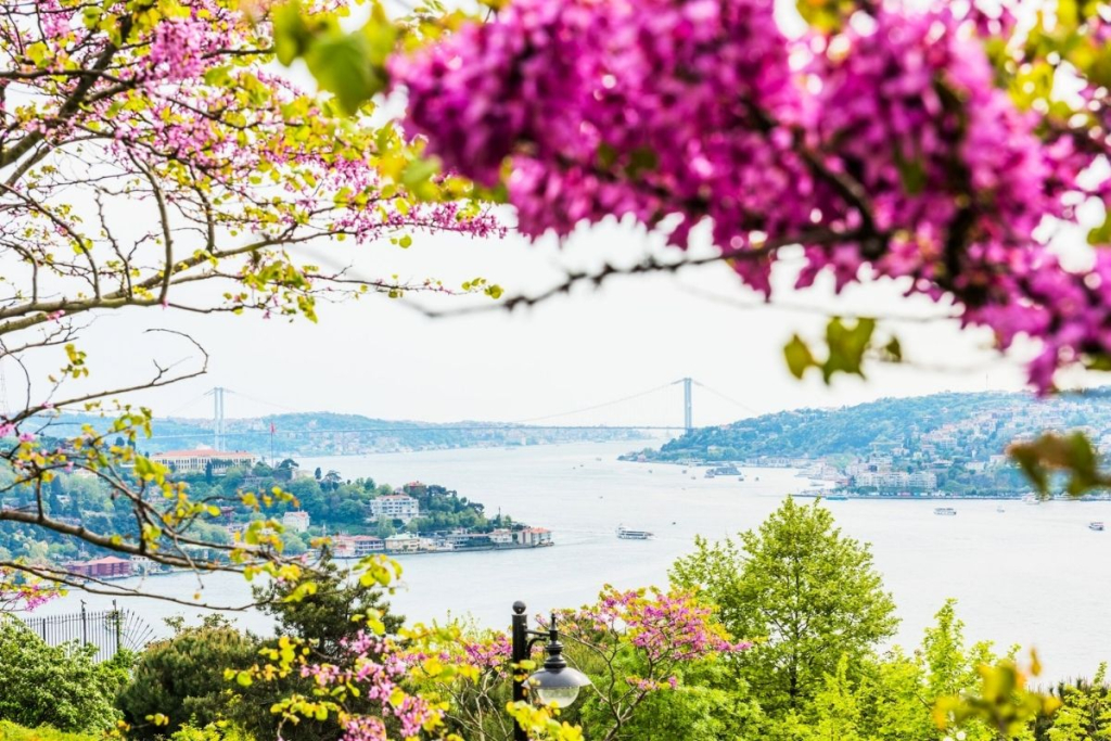 A bright summer day in Istanbul, featuring the scenic Bosphorus and a refreshing coastal atmosphere.